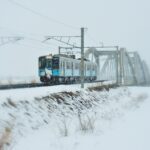 Magical Aomori Winter: Tuna at “Sake Snow Train”