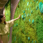 Discover Moss Art at Hoshino Resort Oirase Keiryu