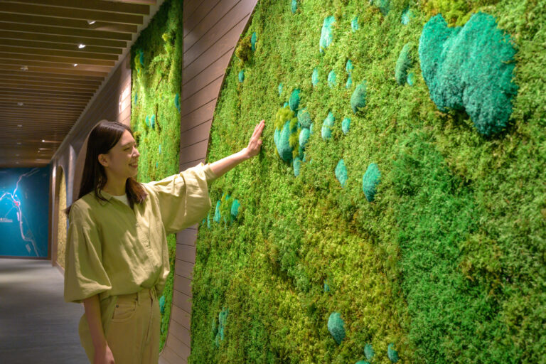 Discover Moss Art at Hoshino Resort Oirase Keiryu