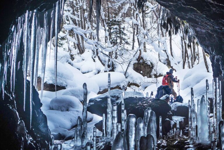 Hokkaido’s Sparkling Ice-Covered Trees in Winter: adex base